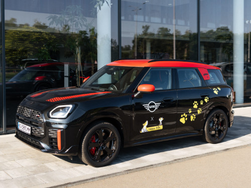 MINI лапки для великих справ: MINI Україна та Happy Paw відбудовуватимуть притулки для безхатніх тварин